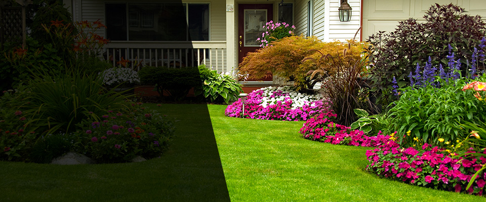 Provo Landscapers